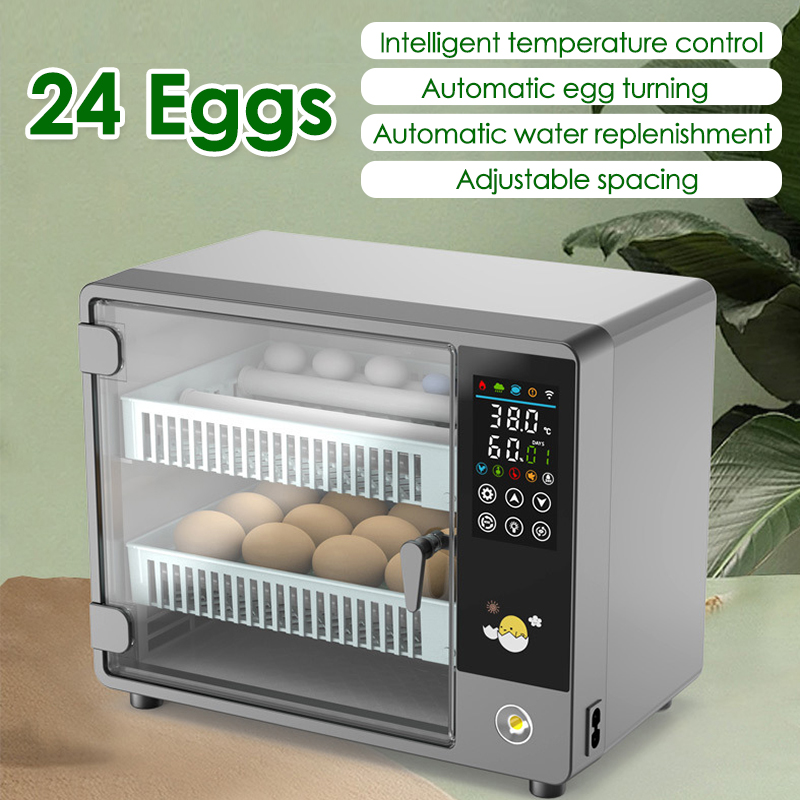 Quail Egg Incubator - 24-Eier-Vollautomatik-Inkubator zum Drehen von Eiern, Touch-Temperaturregelung,