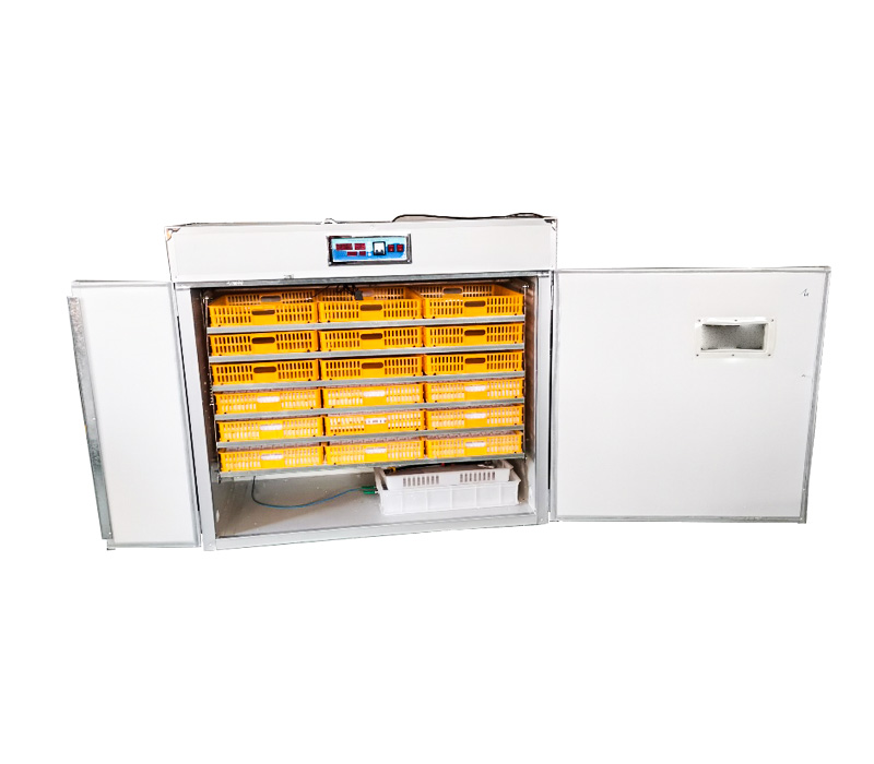 Quail Egg Incubator - Steuergerät für Vollautomatische Eierbrutmaschine und Brutapparat