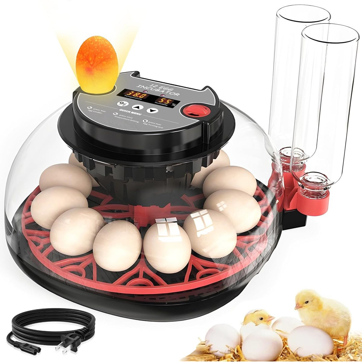 Quail Egg Incubator - 12-Eier-Inkubator mit automatischer Wendefunktion, digitaler Brutapparat