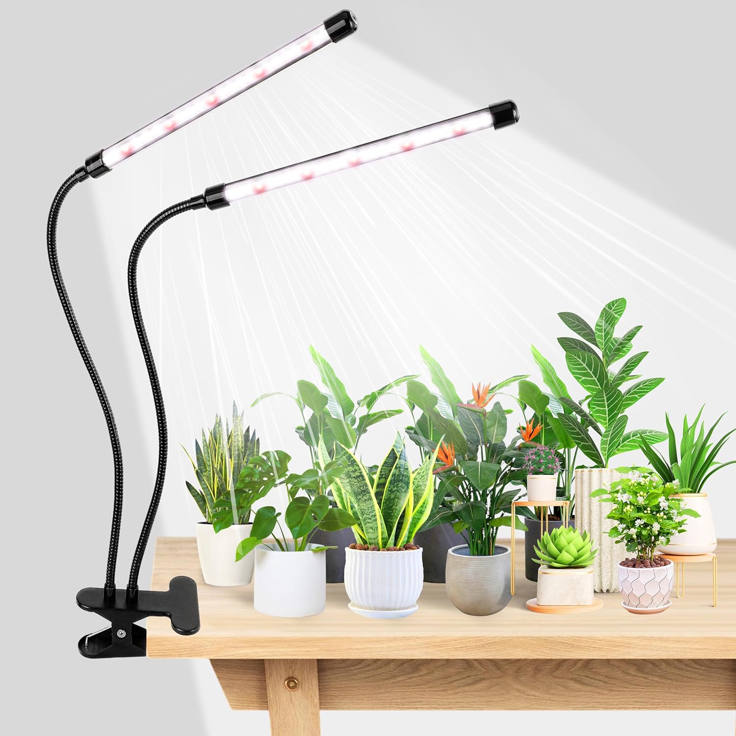 Hydroponic Nft Channel - KEBINCPLED USB 5V Clip Pflanzenwachstumslampe LED
