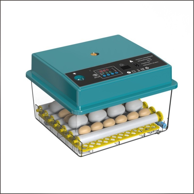 Quail Egg Incubator - Vollautomatischer Eierinkubator für den Haushalt, kleiner
