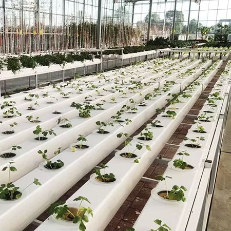 Hydroponic Nft Channel - Kommerzielle Hydroponik-Pflanzensysteme NFT-Rohrkanäle Landwirtschaftliche Hydroponik-Ausrüstung NFT-Kanalsystem