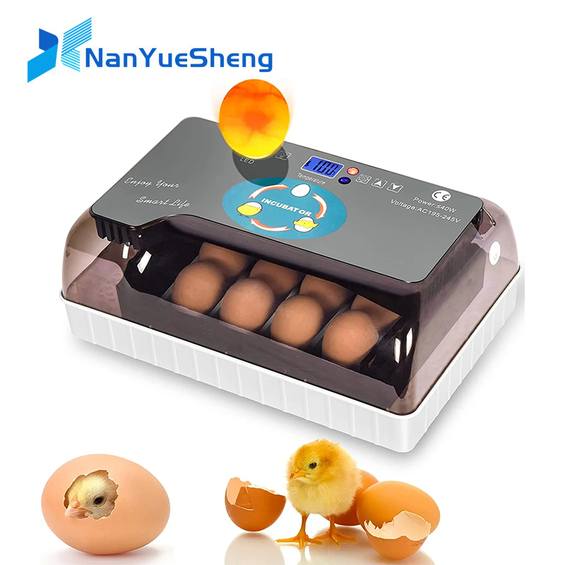 Quail Egg Incubator - Automatische HHD beste digitale 12-Küken-Eierbrutmaschine, Brutapparat,