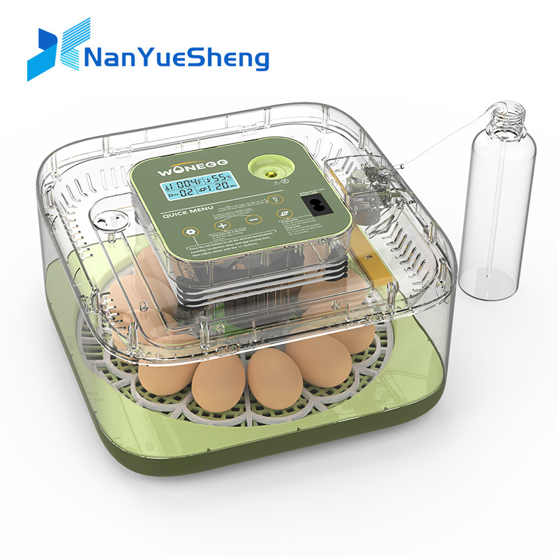 Quail Egg Incubator - Neue 12-Küken-Ei-Brutmaschine, Brutapparat, Eierbrutkasten, Brüter für