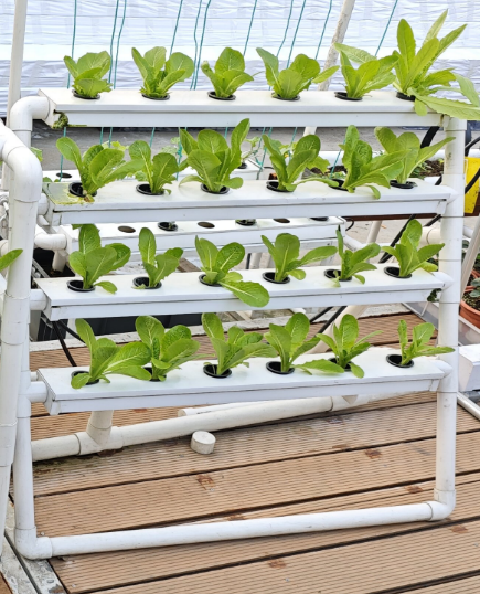 MINI 24-Loch vertikales Hydrok – Hydroponic Nft Channel Bewertung und Preis