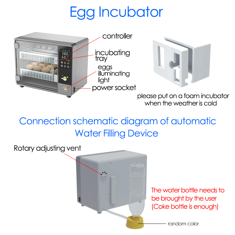 24-Eier-Vollautomatik-Inkubato – Quail Egg Incubator Bewertung und Preis