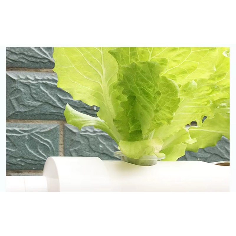 Einfache Installation 36-Loch  – Hydroponic Nft Channel Bewertung und Preis
