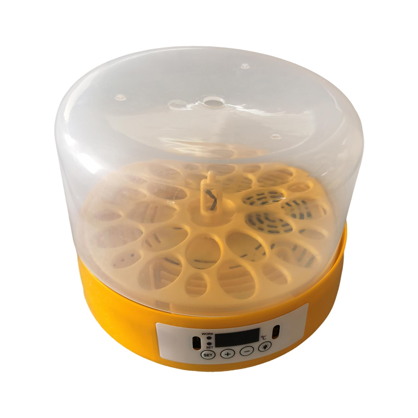 Eierinkubator Eierwender Eierb – Quail Egg Incubator Bewertung und Preis