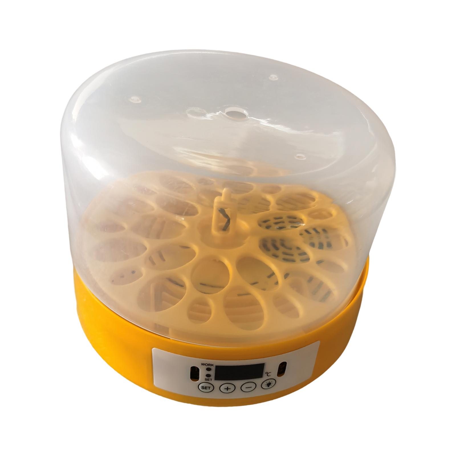 Eierinkubator Eierwender Eierb – Quail Egg Incubator Bewertung und Preis