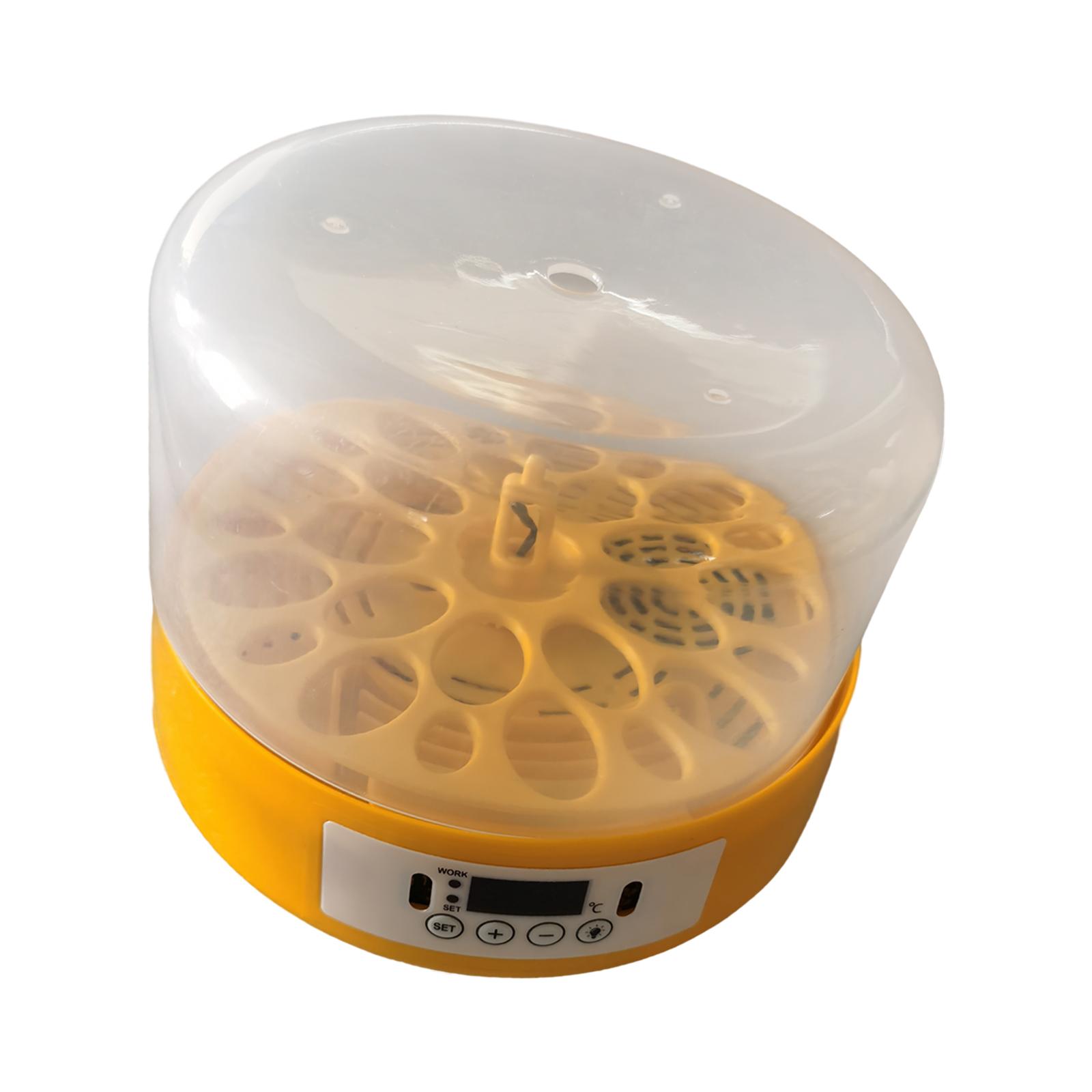 Eierinkubator Eierwender Eierb – Quail Egg Incubator Bewertung und Preis