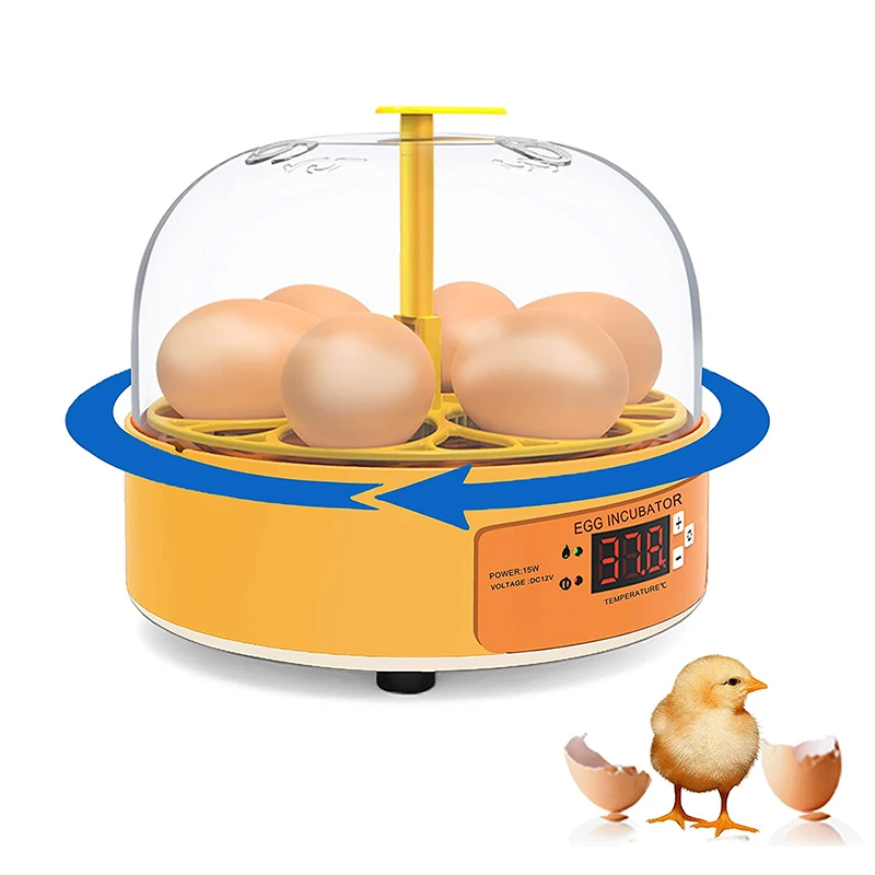 Brutkasten für Hühner, Enten u – Quail Egg Incubator Bewertung und Preis