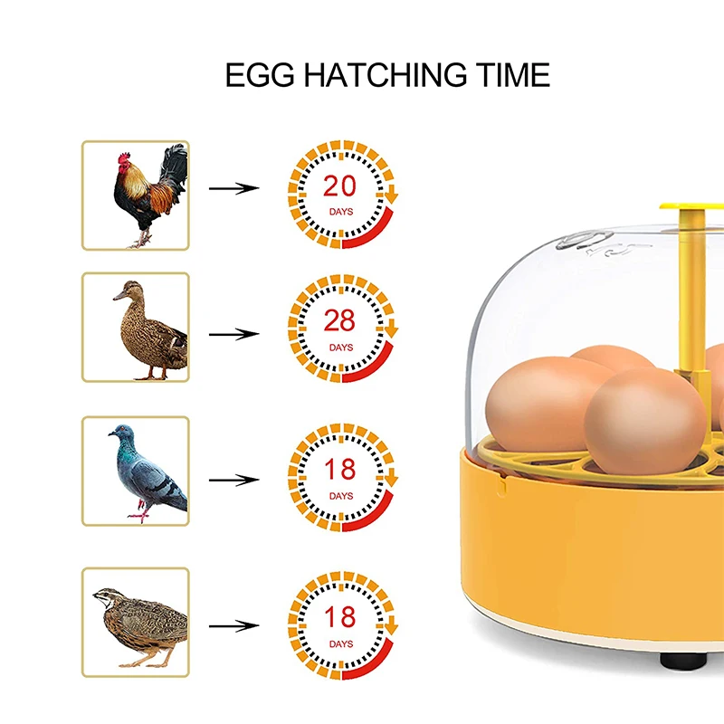Brutkasten für Hühner, Enten u – Quail Egg Incubator Bewertung und Preis