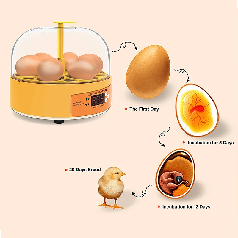 Brutkasten für Hühner, Enten u – Quail Egg Incubator Bewertung und Preis