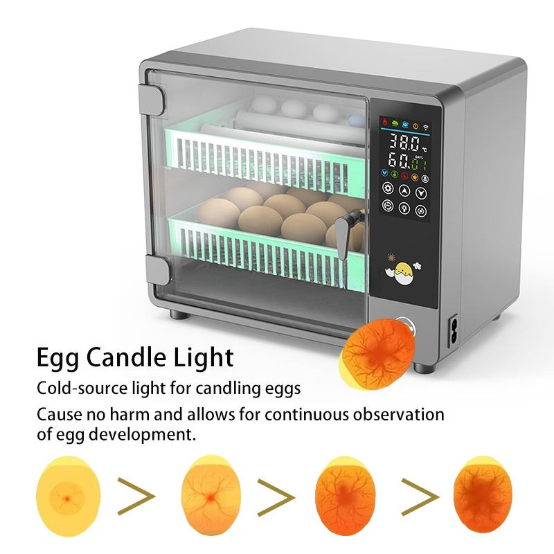 Direkt vom Hersteller 2026 Vol – Quail Egg Incubator Bewertung und Preis