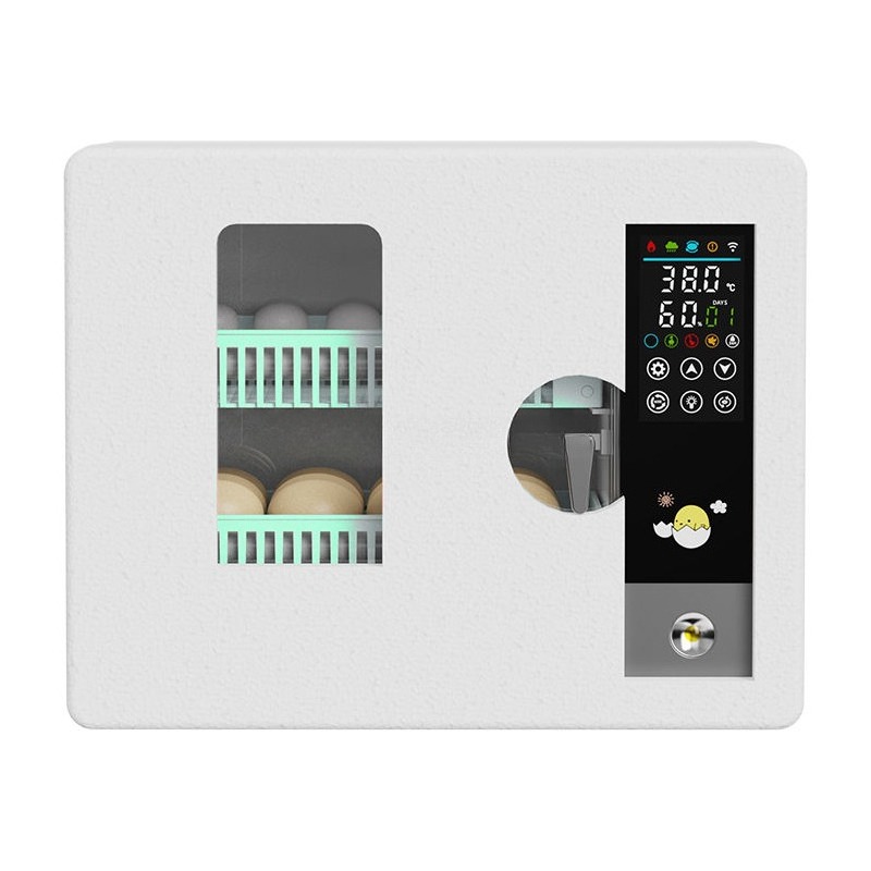Direkt vom Hersteller 2026 Vol – Quail Egg Incubator Bewertung und Preis