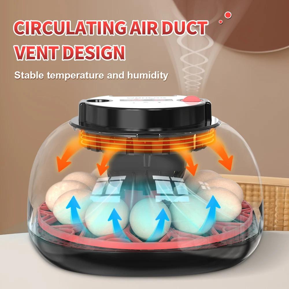 12-Eier-Inkubator mit automati – Quail Egg Incubator Bewertung und Preis