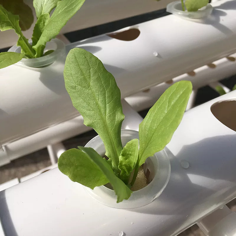 Direkt vom Hersteller: 3-Schic – Hydroponic Nft Channel Bewertung und Preis