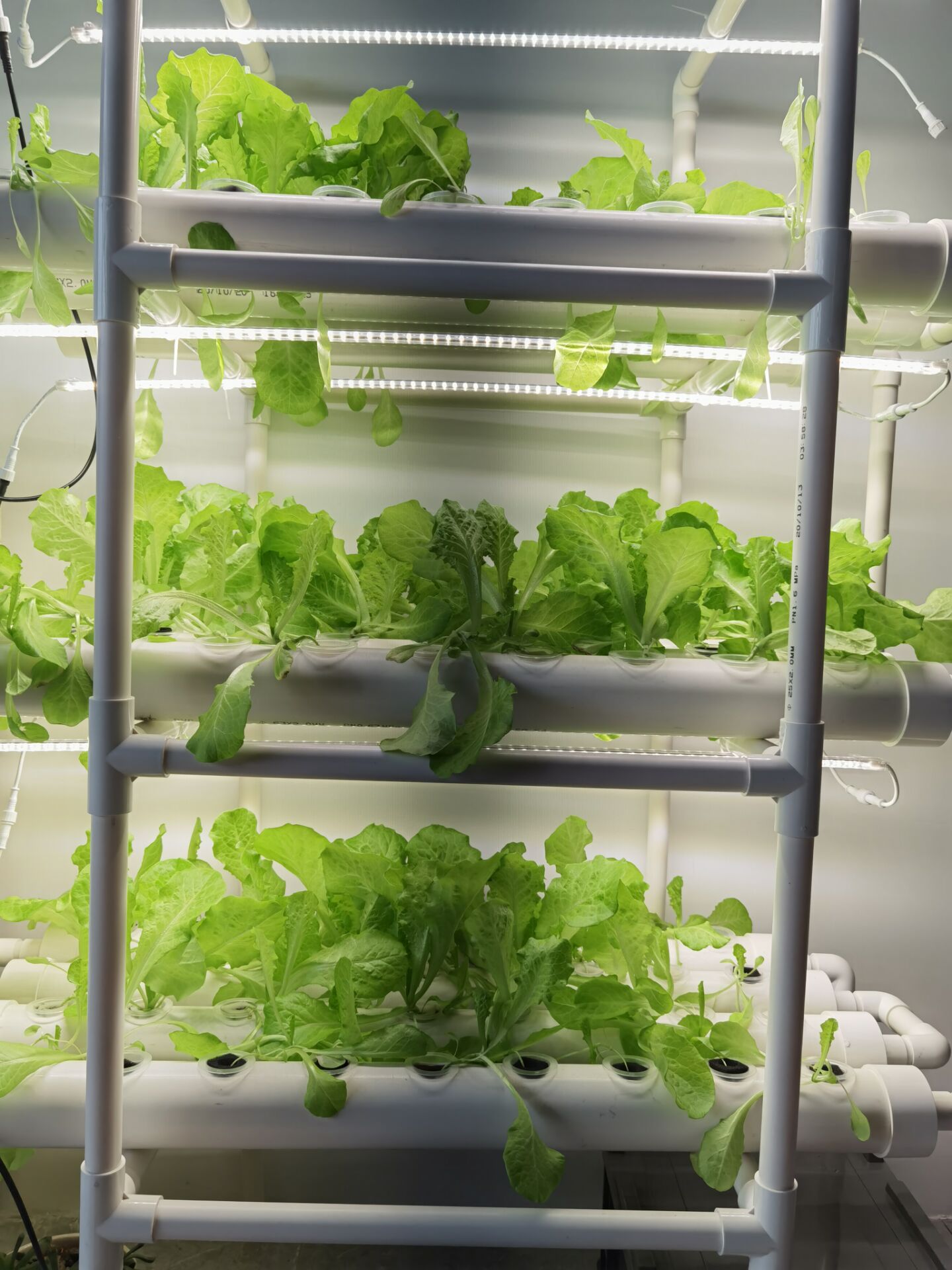 Direkt vom Hersteller: 3-Schic – Hydroponic Nft Channel Bewertung und Preis
