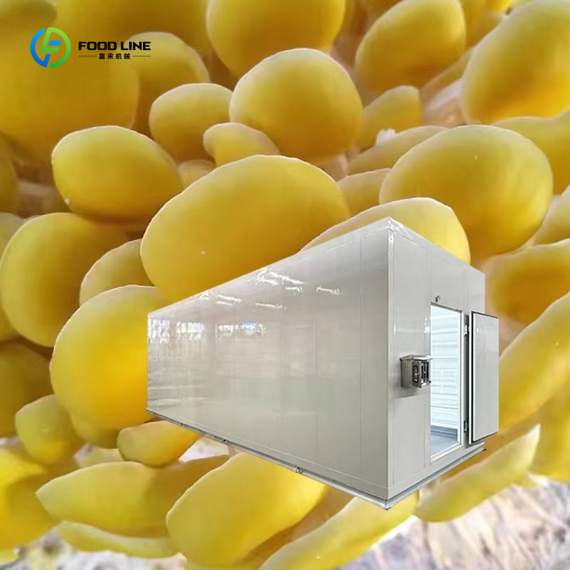 Intelligentes Pilzzucht-Kapsel – Agriculture Farming New Technology Bewertung und Preis