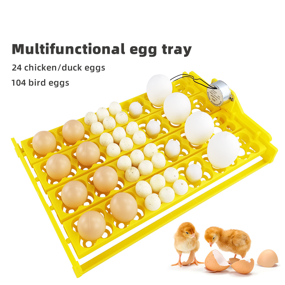 24 stücke Eier Inkubator Table – Quail Egg Incubator Bewertung und Preis