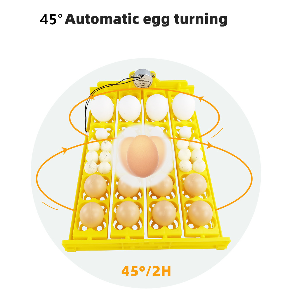 24 stücke Eier Inkubator Table – Quail Egg Incubator Bewertung und Preis