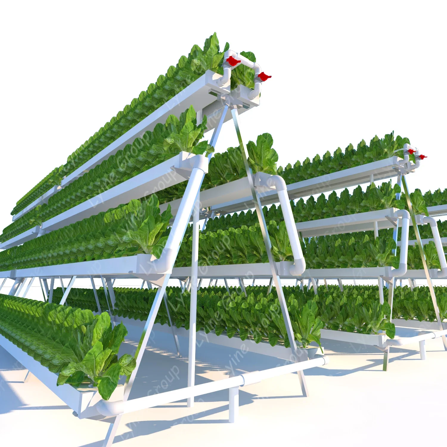 Herstellung produzieren vertik – Hydroponic Nft Channel Bewertung und Preis