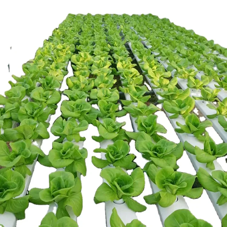 Herstellung produzieren vertik – Hydroponic Nft Channel Bewertung und Preis