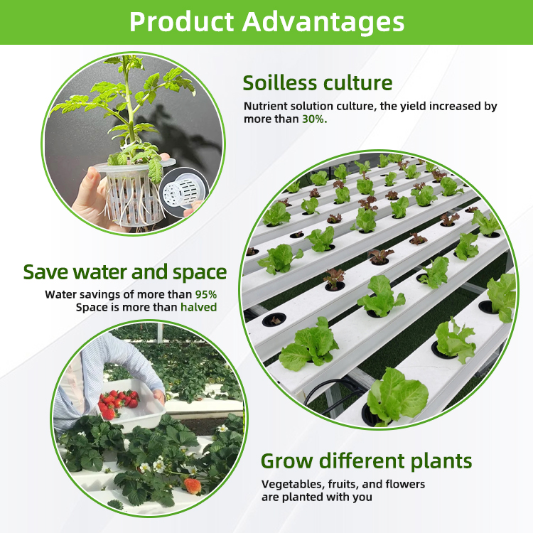 Nft Hydroponics PVC-Kanalbewäs – Hydroponic Nft Channel Bewertung und Preis