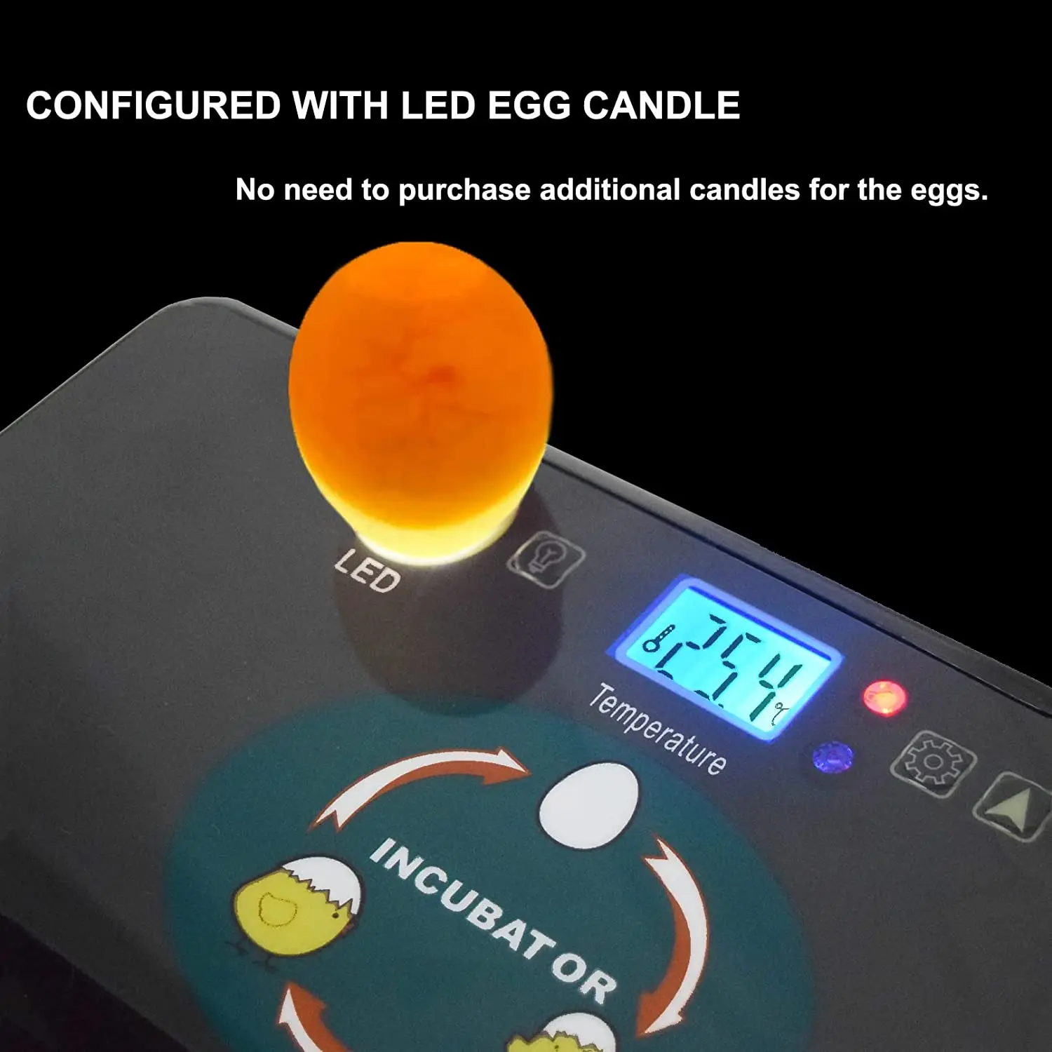 Automatische HHD beste digital – Quail Egg Incubator Bewertung und Preis