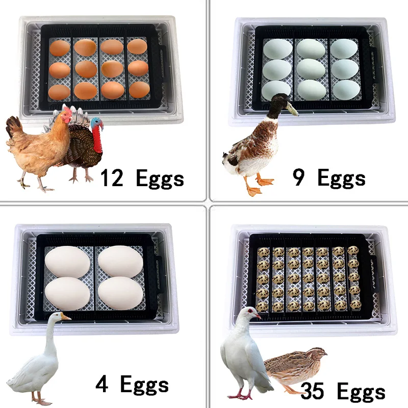 Automatische HHD beste digital – Quail Egg Incubator Bewertung und Preis