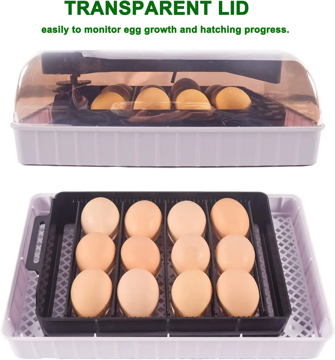 Automatische HHD beste digital – Quail Egg Incubator Bewertung und Preis