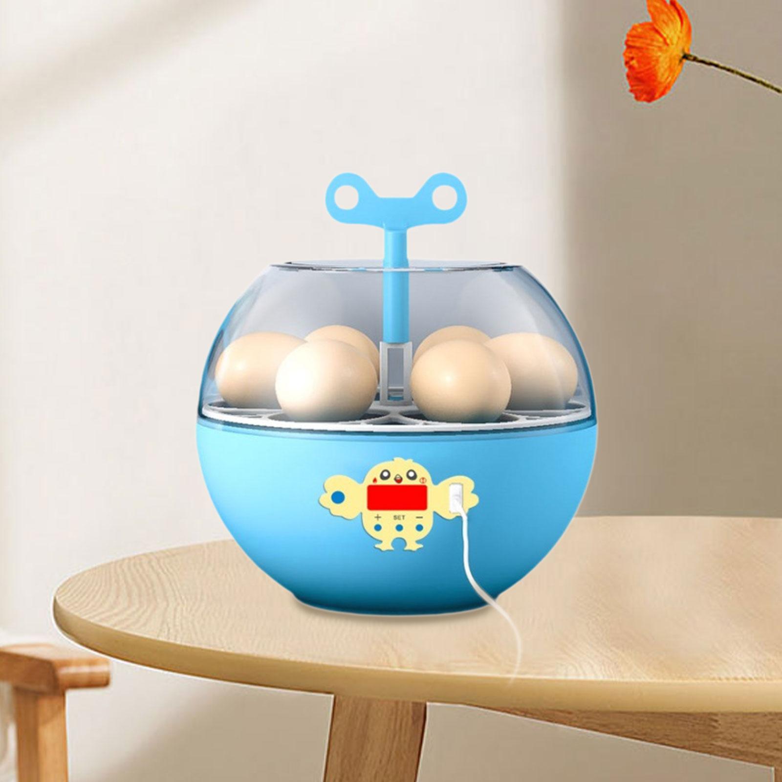 6-Eier-Inkubator Mini Sichtbar – Quail Egg Incubator Bewertung und Preis