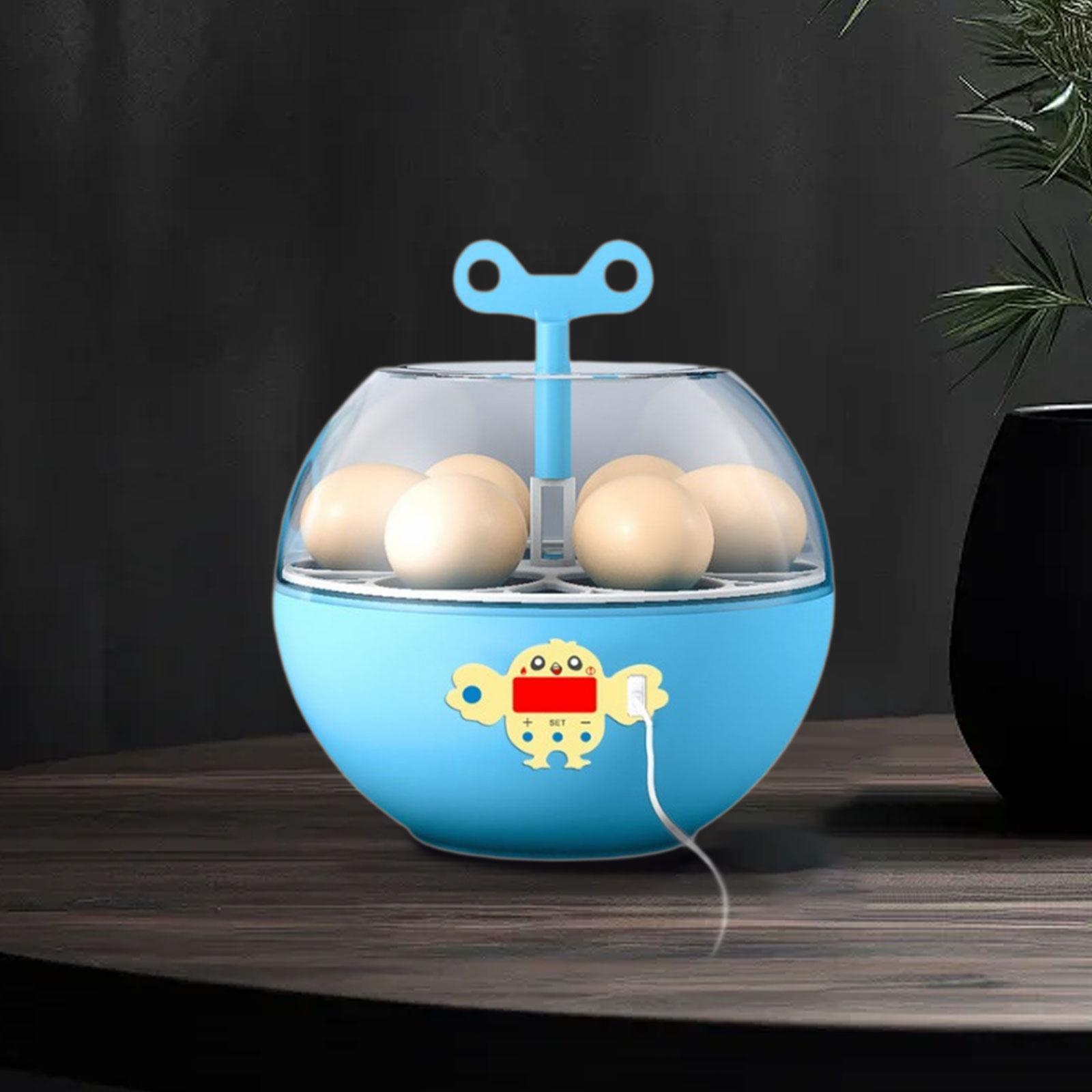 6-Eier-Inkubator Mini Sichtbar – Quail Egg Incubator Bewertung und Preis