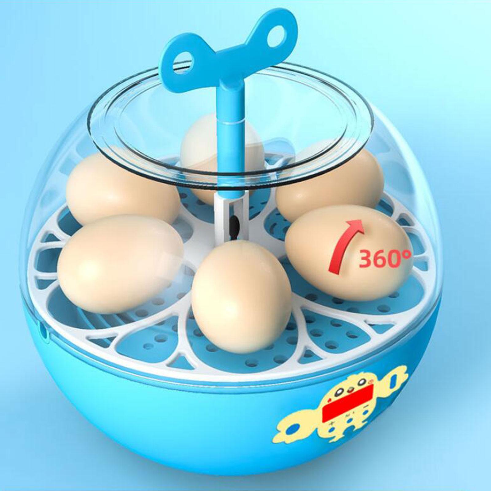 6-Eier-Inkubator Mini Sichtbar – Quail Egg Incubator Bewertung und Preis