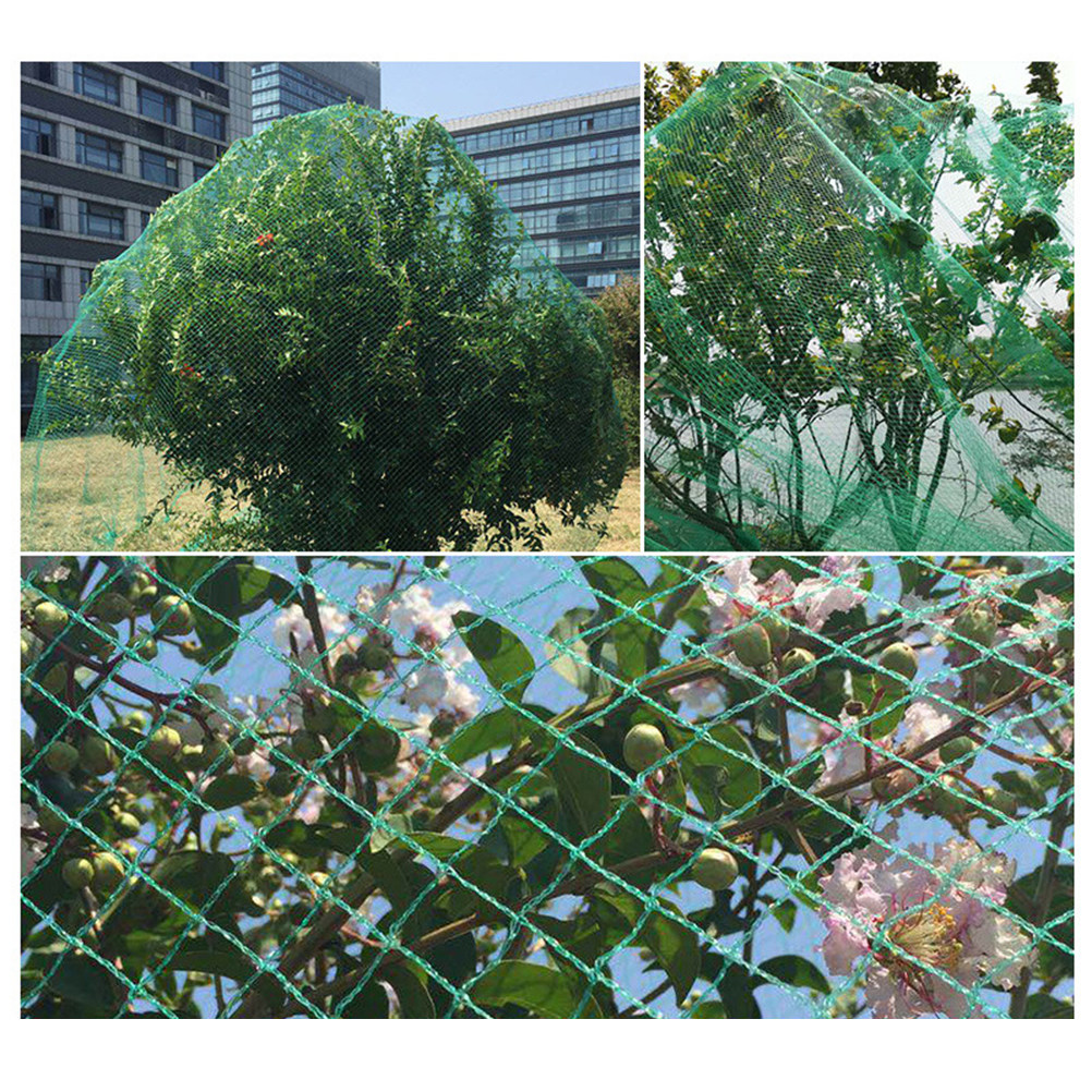 15M Anti-Vogel-Netz, grün, zum – Agriculture Gardening Farming Bewertung und Preis