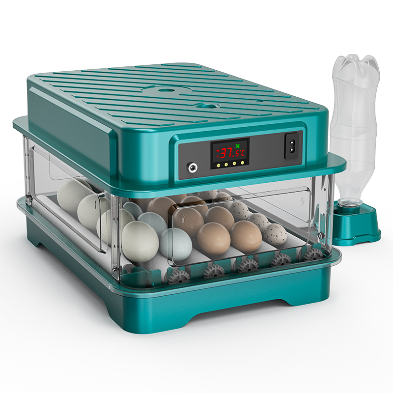 Vollautomatischer Brutapparat  – Quail Egg Incubator Bewertung und Preis