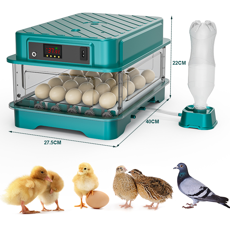 Vollautomatischer Brutapparat  – Quail Egg Incubator Bewertung und Preis