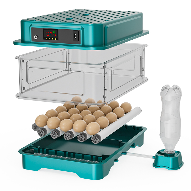 Vollautomatischer Brutapparat  – Quail Egg Incubator Bewertung und Preis