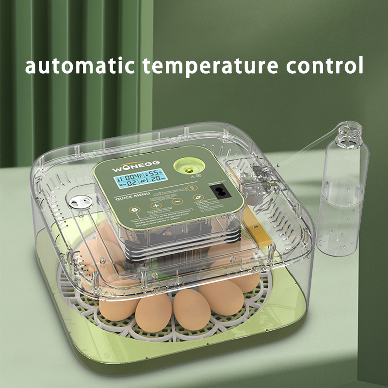 Neue 12-Küken-Ei-Brutmaschine, – Quail Egg Incubator Bewertung und Preis