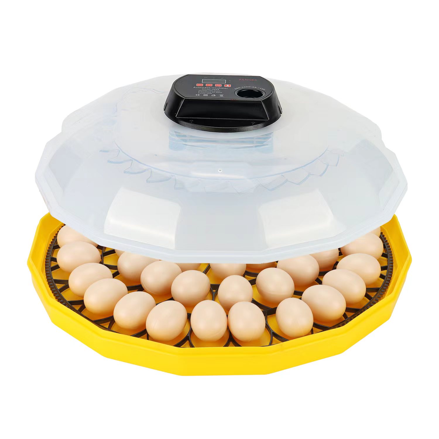 Mini-Eierinkubator mit 99% Sch – Quail Egg Incubator Bewertung und Preis