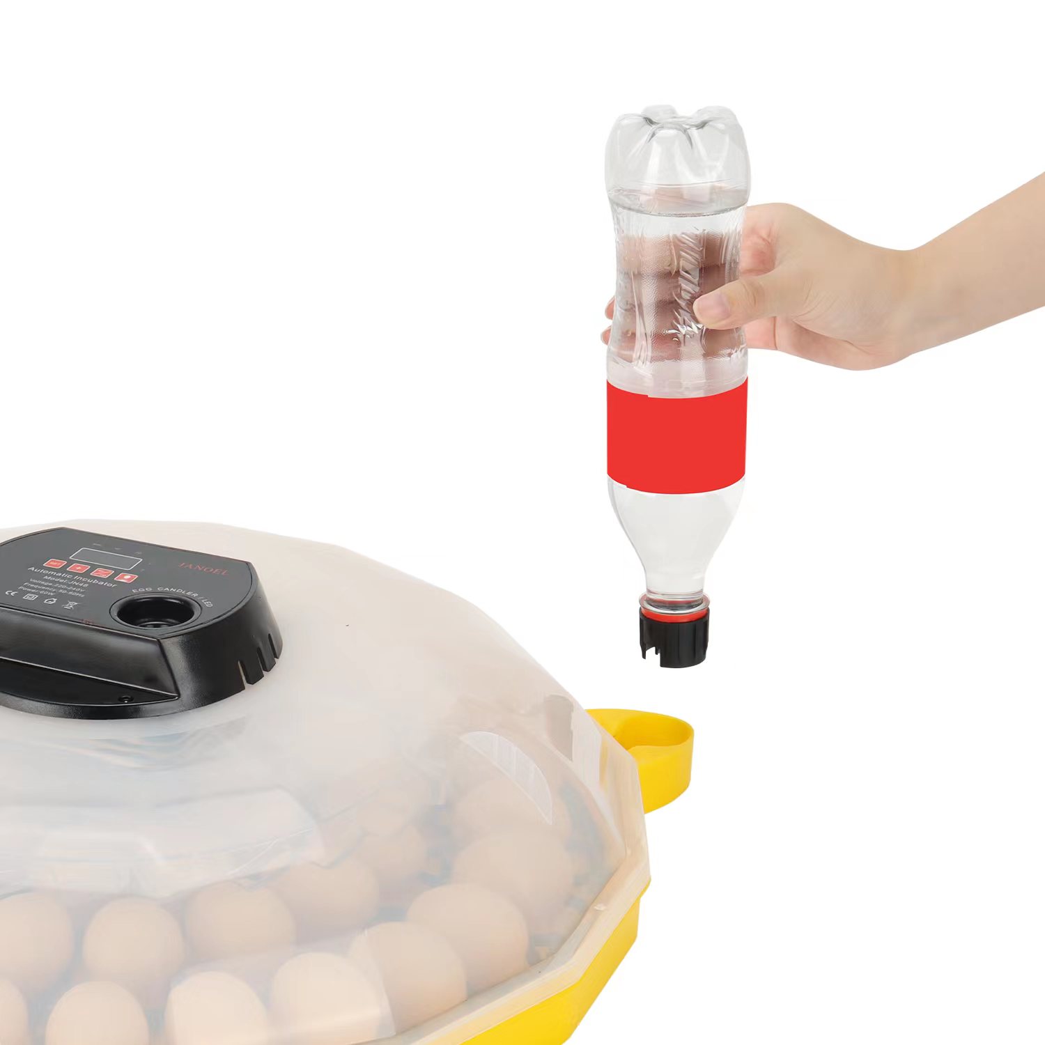 Mini-Eierinkubator mit 99% Sch – Quail Egg Incubator Bewertung und Preis