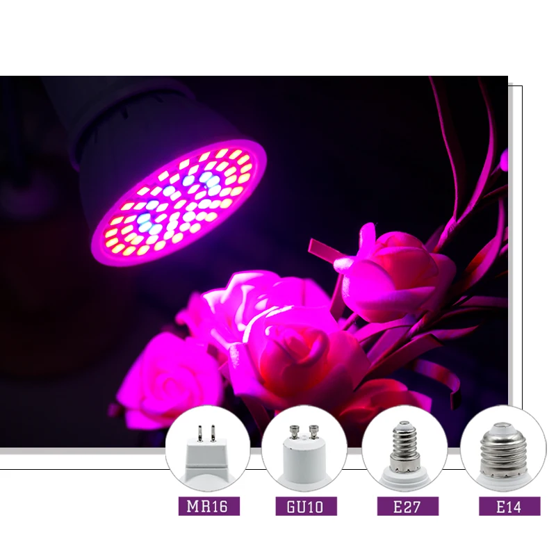 Volle Spektrum LED Wachsen Lic – Hydroponic Nft Channel Bewertung und Preis